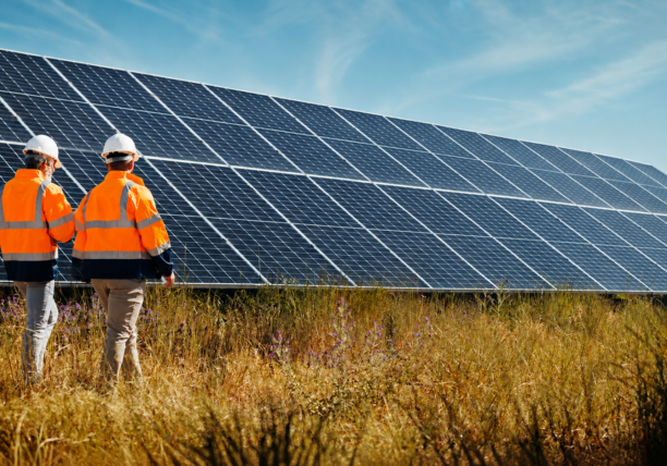 Projects Solar Farm